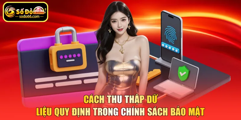 Cách thu thập dữ liệu quy định trong chính sách bảo mật
