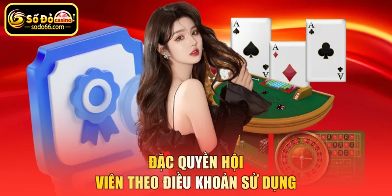 Đặc quyền hội viên theo điều khoản sử dụng