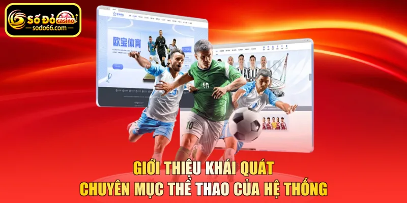 Giới thiệu khái quát chuyên mục thể thao của hệ thống