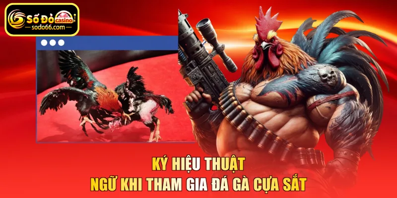 Ký hiệu thuật ngữ khi tham gia đá gà cựa sắt