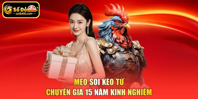 Mẹo soi kèo từ chuyên gia 15 năm kinh nghiệm