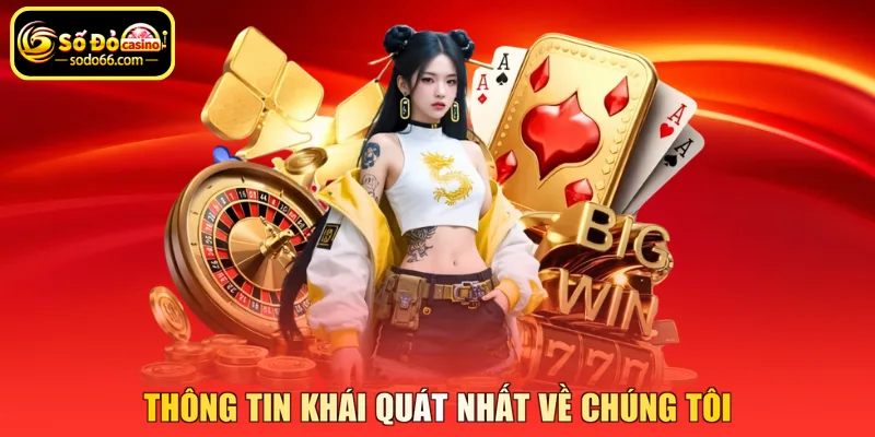 Thông tin khái quát nhất về chúng tôi